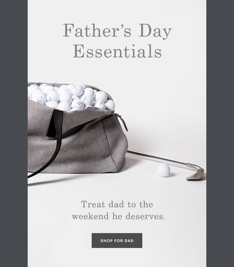 6 campañas de email marketing para el día del padre que te dejarán sin  palabras | MDirector
