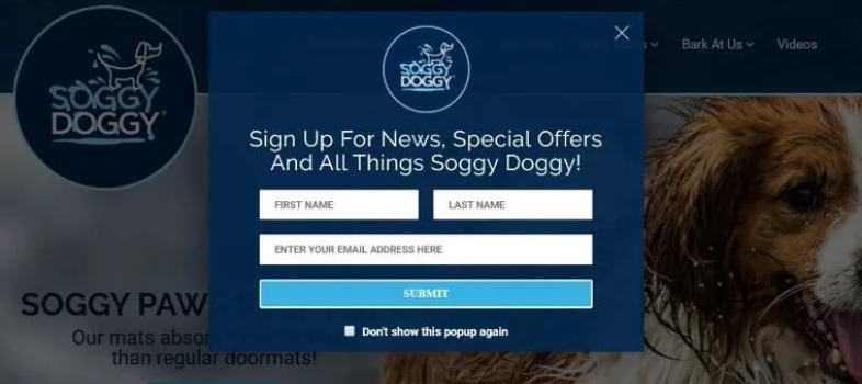 Ejemplos de formularios pop up efectivos: Soggy Doggy